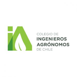 ingenieros