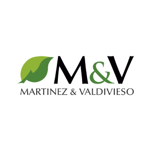 martinez y valdiviezo